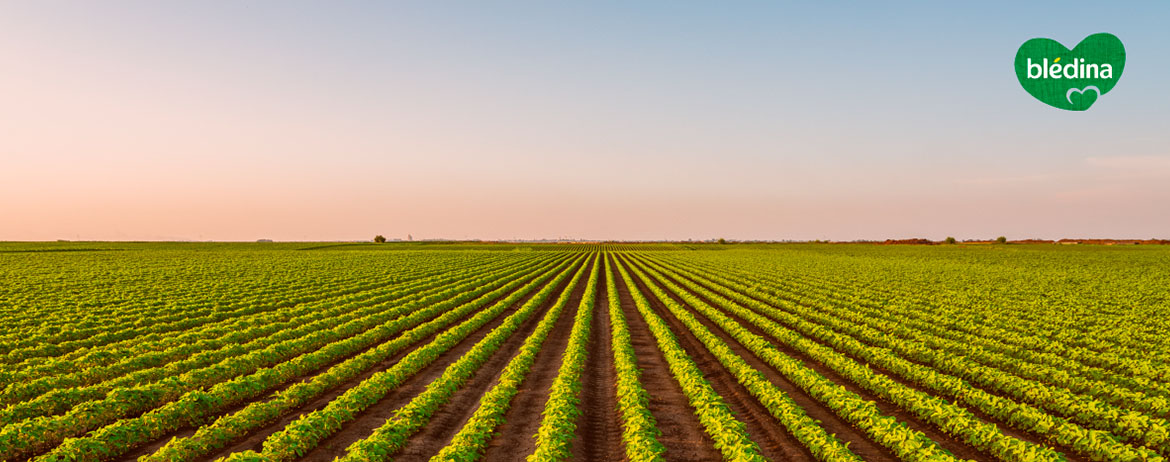 O Que é A Agricultura Regenerativa Blédina